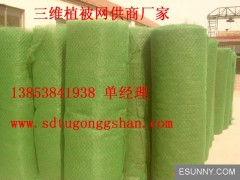 日照三維植被網(wǎng)廠家直銷(xiāo)甘肅三維植被網(wǎng)13853841938-- 山東永潤(rùn)玻纖格柵有限公司