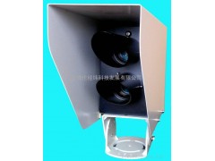 北京特銷路面溫度傳感器/遙感式路面路溫傳感器-- 北京博倫經緯科技發展有限公司