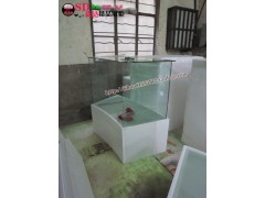 上海田森鋼化玻璃島柜展臺(tái)招商|鋼化島柜弧形展柜烤漆展柜臺(tái)-- 上海田森貨架有限公司
