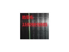 德州除草布廠(chǎng)家首選陵縣華龍化纖-- 陵縣華龍化纖有限公司