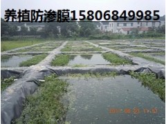 山東養(yǎng)殖防滲膜廠家陵縣華龍化纖最專業(yè)-- 陵縣華龍化纖有限公司