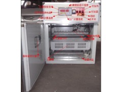 鴕鳥孵化機 孵化設備-- 德州市德城區富民孵化設備研制中心