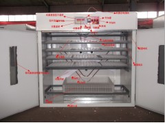 野雞孵化機 孵化設備-- 德州市德城區富民孵化設備研制中心