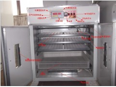 湖南孵化機 孵化設備-- 德州市德城區富民孵化設備研制中心