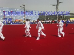 德州哪里有做展館地毯,價格多少?-- 陵縣華龍化纖有限公司
