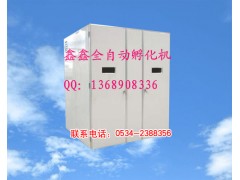 德州火雞孵化機鑫鑫全自動孵化機www.xinxinfuhua.com-- 山東鑫鑫孵化設備廠