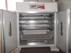 供應德州孵化機山雞孵化機www.fuminfuhua.cn-- 德州市德城區富民孵化設備研制中心
