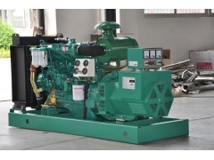 江蘇150KW玉柴發(fā)電機組廠家領(lǐng)馭電機最專業(yè)-- 江蘇領(lǐng)馭電機有限公司