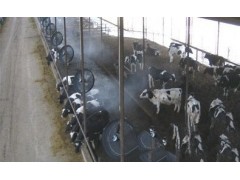 豬圈雞棚牛舍噴霧自動消毒除臭設備-- 深圳市東佳強環?？萍加邢薰? class=