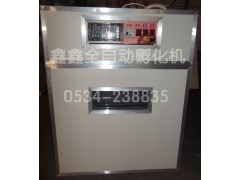 鑫鑫全自動孵化機鴿子孵化機小雞孵化機www.xinxinfuhua.com-- 山東鑫鑫孵化設備廠