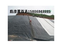 山東藕池膜廠家陵縣華龍化纖最專業-- 陵縣華龍化纖有限公司