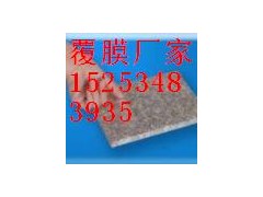 德州10公分地磚膜多少錢？陵縣華龍化纖告訴你價格-- 陵縣華龍化纖有限公司