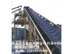 青島大傾角波狀擋邊輸送帶大傾角擋邊膠帶q123-- 青島宏基橡膠有限公司