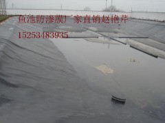 德州復合土工膜售后電話-- 陵縣華龍化纖有限公司