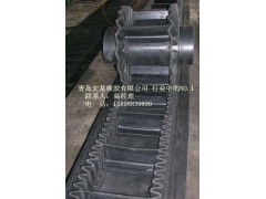 大傾角擋邊帶-擋邊皮帶-擋邊帶生產廠家2-- 青島宏基橡膠有限公司
