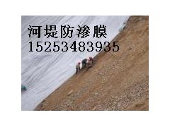 德州長絲復合膜廠家首選陵縣華龍化纖-- 陵縣華龍化纖有限公司