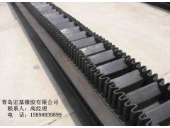哪里有供應斗提機輸送帶廠家？質量很好，-- 青島宏基橡膠有限公司