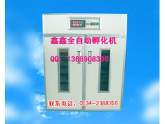 鑫鑫孵化機小雞孵化機鴿子孵化機海南孵化機-- 山東鑫鑫孵化設備廠