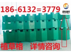 天津植草格-- 泰安綠標建材有限公司