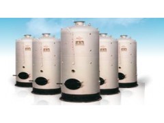 LSG(CLSG)立式多用蒸汽(熱水)鍋爐-- 天津?qū)毘蓹C(jī)械集團(tuán)有限公司