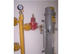 NXE-C氣化器/NXE-H電熱式氣化爐-- 佛山市安特爾燃?xì)庠O(shè)備有限公司