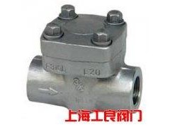 H42  立式止回閥-- 上海工良閥門(mén)廠(chǎng)