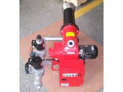 TG系列中小型雙段（全自動大/小火控制）燃?xì)馊紵C(jī)）器-- 鄭州中威環(huán)保設(shè)備有限公司