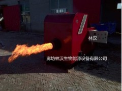 生物質顆粒-- 廊坊林漢生物能源設備有限公司