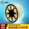 供應(yīng)超美led軟燈條5050