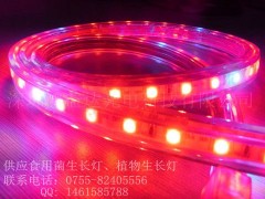 鴻益達(dá)LED植物生長燈,植物燈帶-- 深圳鴻益達(dá)光電科技有限公司