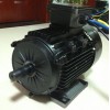 供應(yīng)110V5.5KW電動船電機