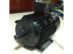 永磁無刷,永磁直流電動機-- 常州永沛機電技術(shù)有限公司