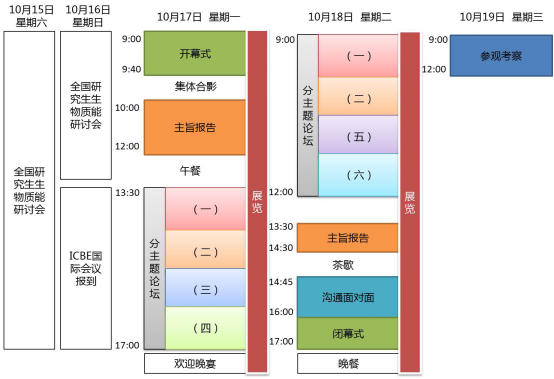 圖片8
