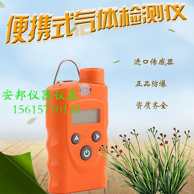 甲烷泄漏報警器-- 濟(jì)南安邦儀器儀表有限公司