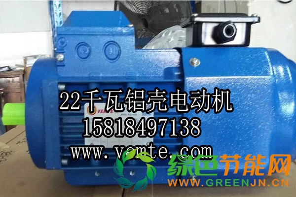 22千瓦鋁殼電動(dòng)機(jī)2