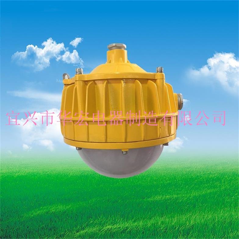 海洋王BPC8766 LED防爆平臺(tái)燈 30W 50W