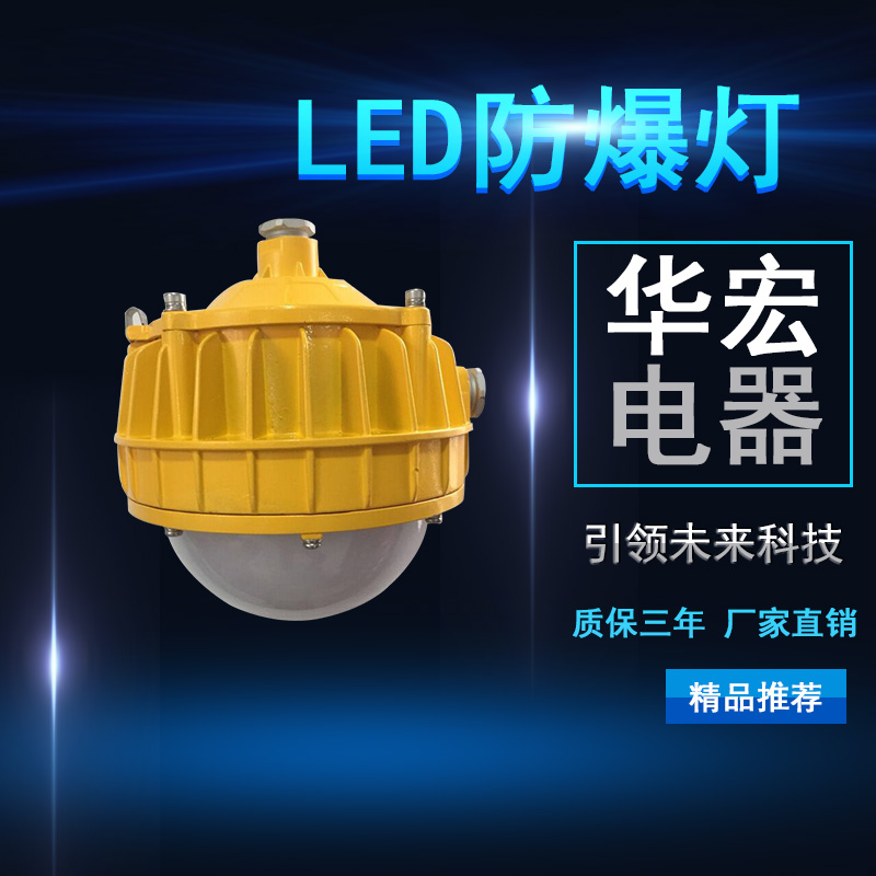 海洋王BPC8766 LED防爆平臺(tái)燈 30W