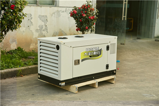 大澤動力15kw水冷靜音柴油發電機組-- 上海豹羅實業有限公司
