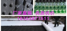 青島20厚車庫頂板排水板+綠化隔根板=供應