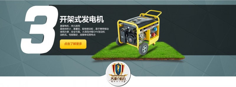 大澤動力汽油發電機-- 上海仡維實業有限子公司