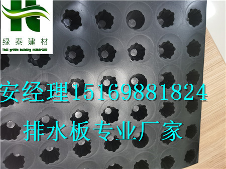 佛山車庫(kù)頂板排水板、江門(mén)12公分高車庫(kù)疏水板-- 泰安市澤瑞土工材料有限公司