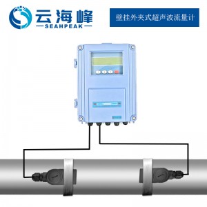 大連海峰一體式超聲波流量計(jì)TDS-100